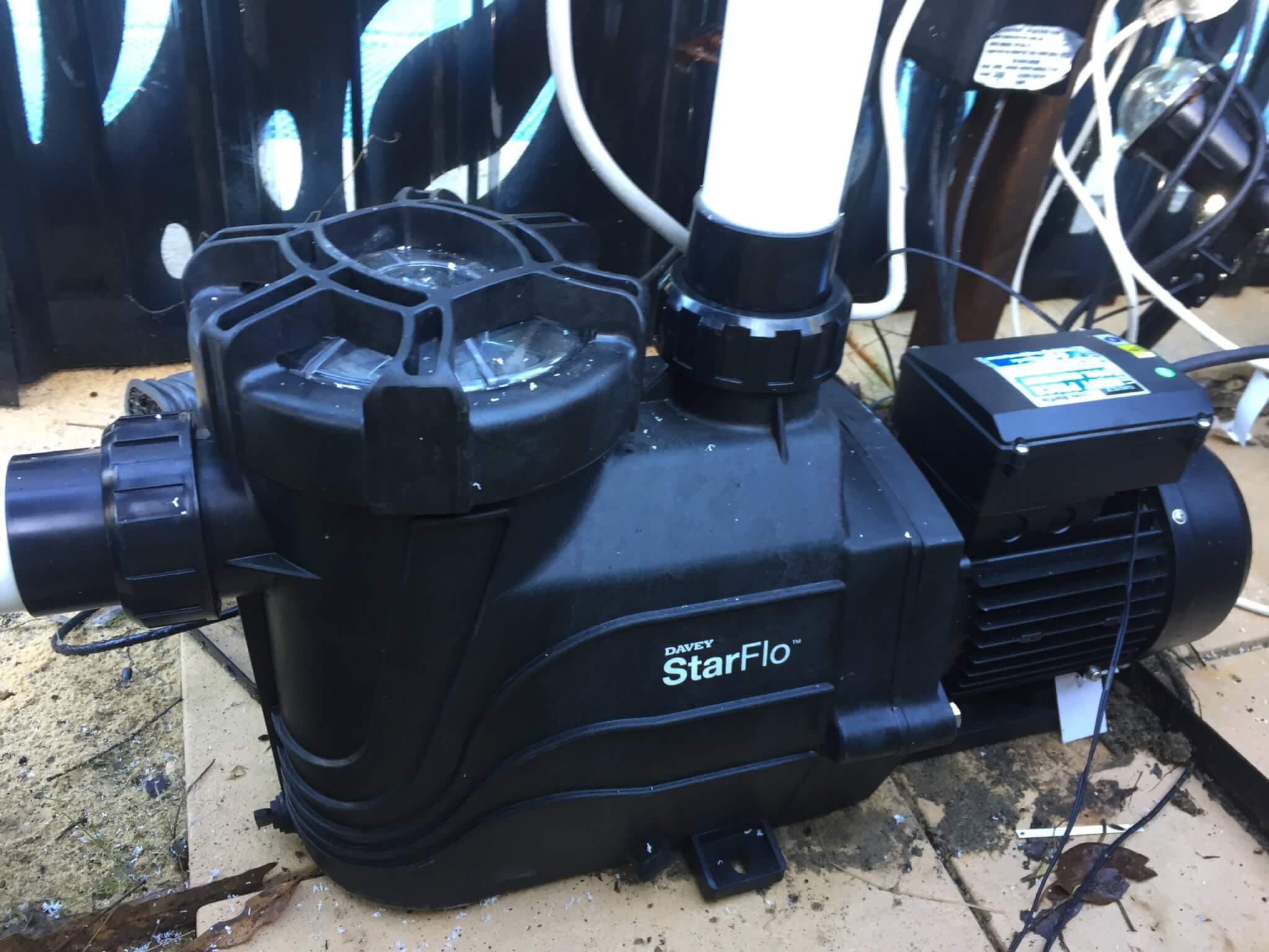 Black Davey StarFlo pool pump installation.
