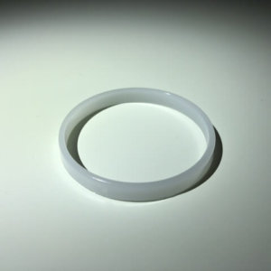 Zodiac Diaphragm retaining ring.