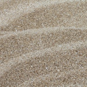 Close up photo of white sand.