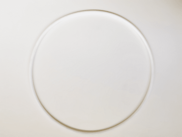 White Waterco trimline lid Oring against a white background.