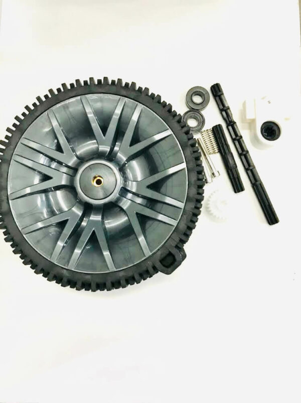 Pentair Rebel 2 Tune Up Kit - Image 2