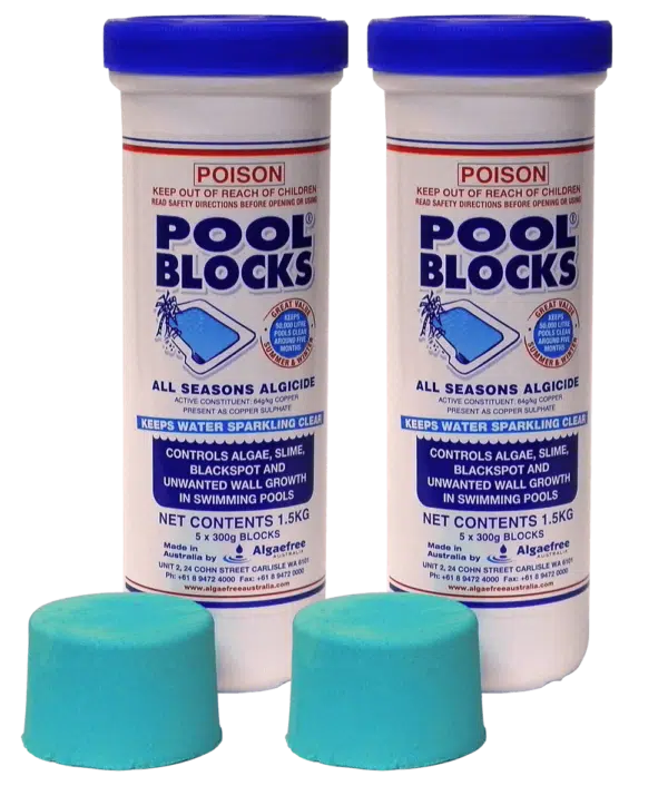 Pool Blocks Algicide - Pack of 2