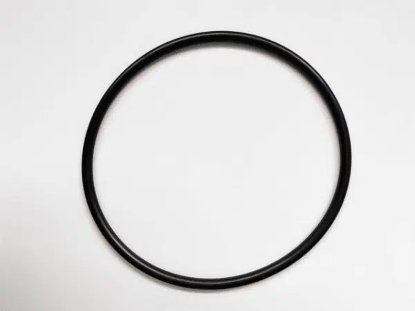 Waterco Aquamite Pump Lid Oring 635084 - Image 2